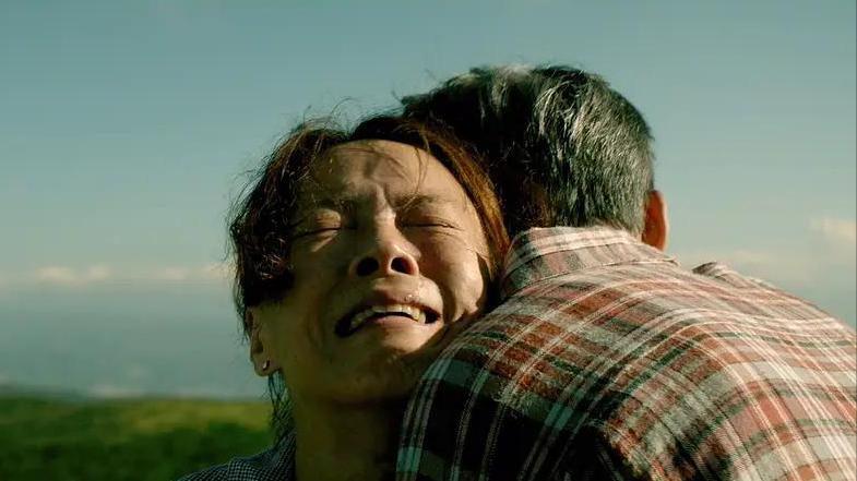 豆瓣八分以上的电影有多少部,20年豆瓣最高分电影前十