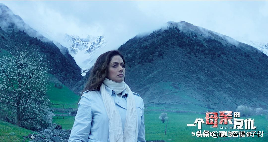 10部母亲复仇电影,比一个母亲的复仇还好看的电影