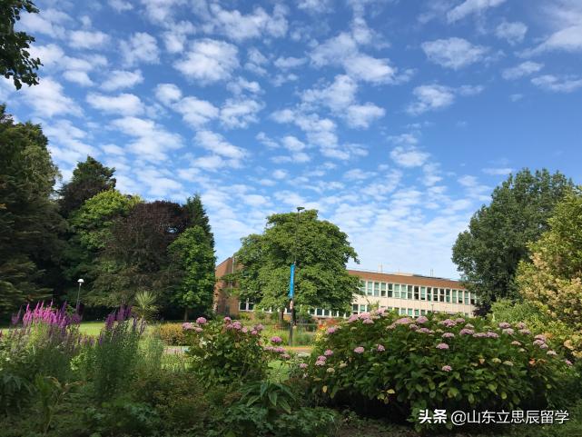 萨塞克斯大学简介,萨塞克斯大学位置
