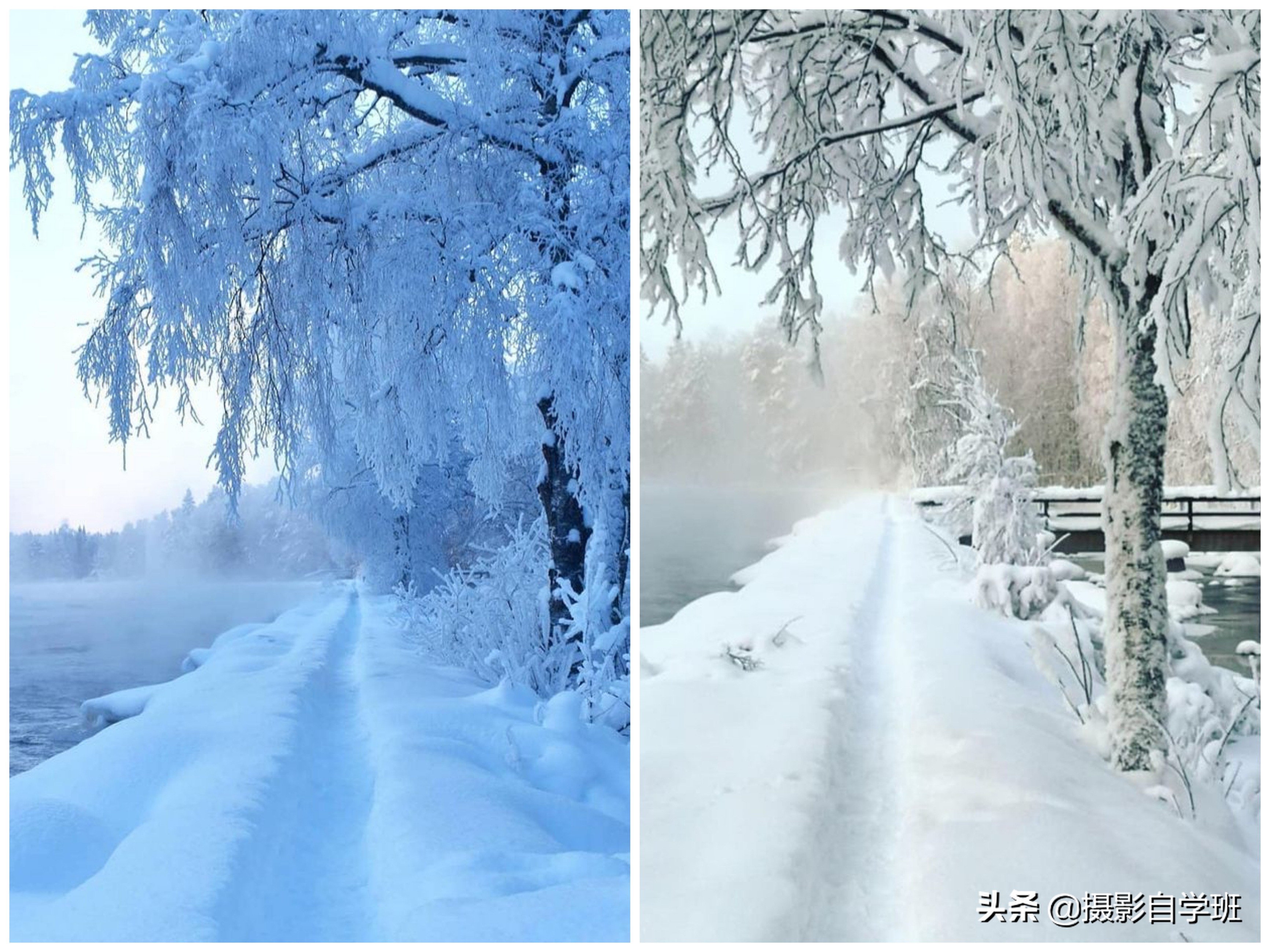风景不好看怎么拍,风景不知道咋拍好