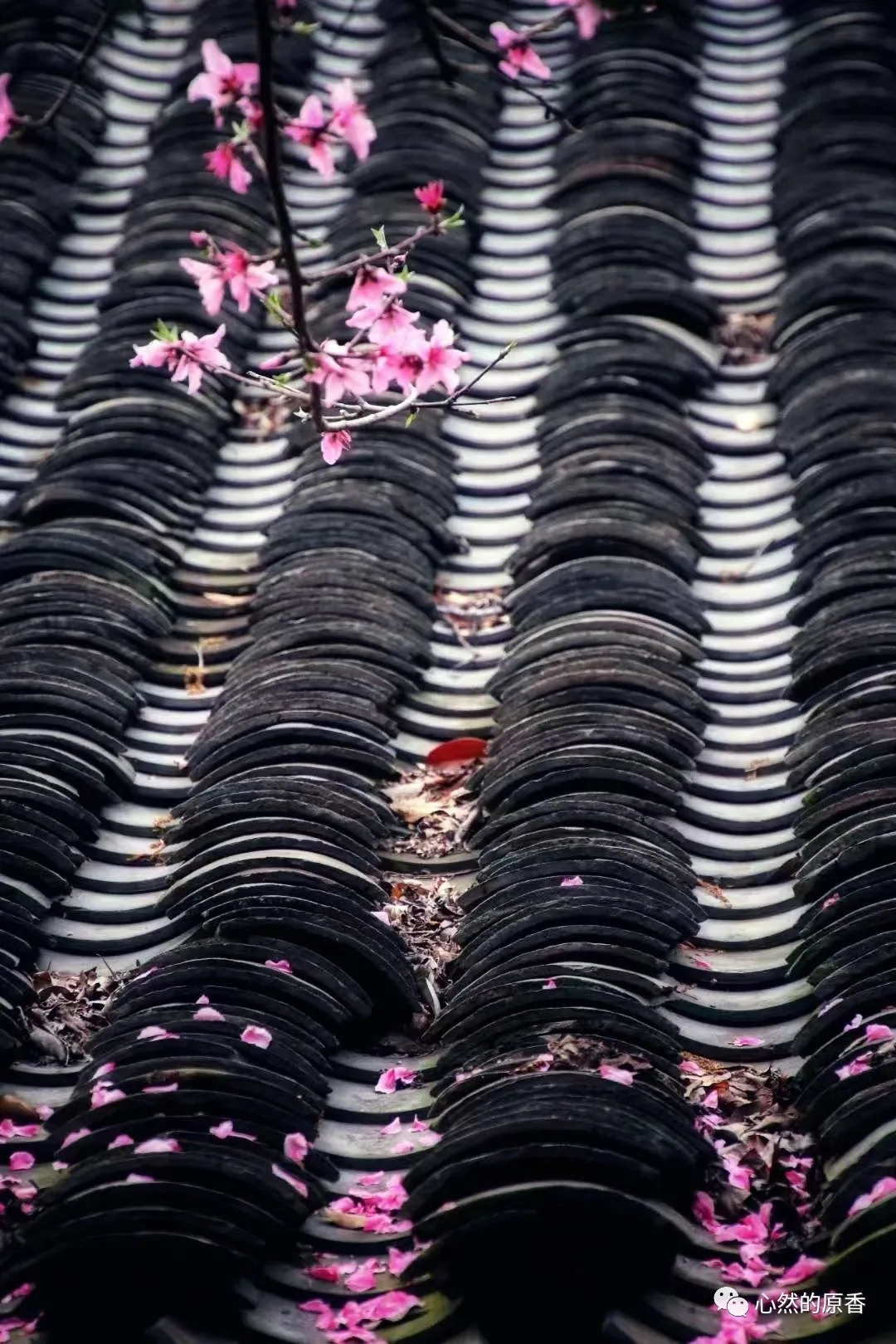 陈艳萍：古镇铁匠尹爹爹