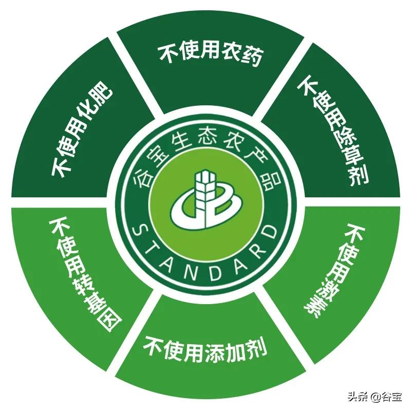 谷宝“六不用”——生态农业的初心与坚守