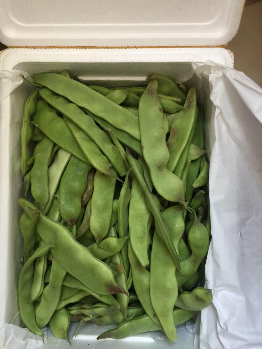 这些蔬菜有助于长高你知道吗,什么蔬菜促进消化最好