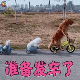 好用到起飞的平价彩妆,这些平价彩妆可以用一辈子