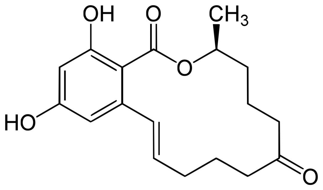 摸一摸就能怀孕？这真的不是都市传说