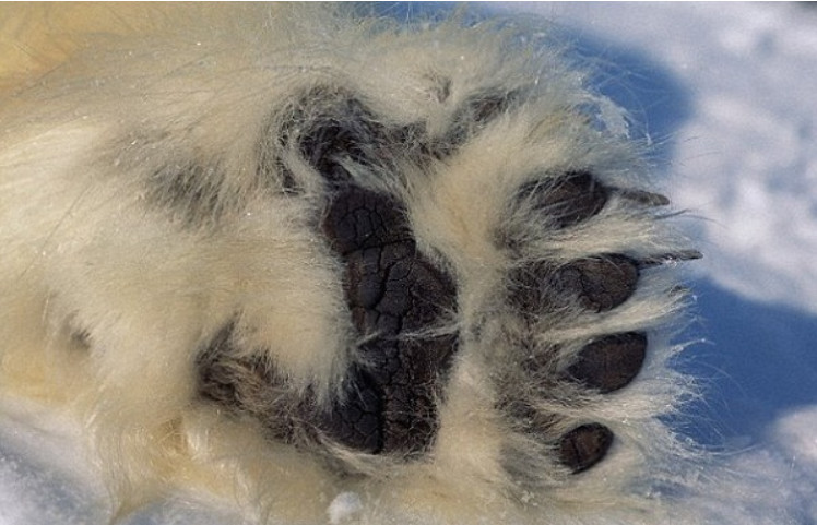 脚臭怎么洗才不臭,脚臭到底该怎么治永远不臭