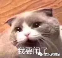 国货被嫌弃,当国货遇到非遗国潮诞生