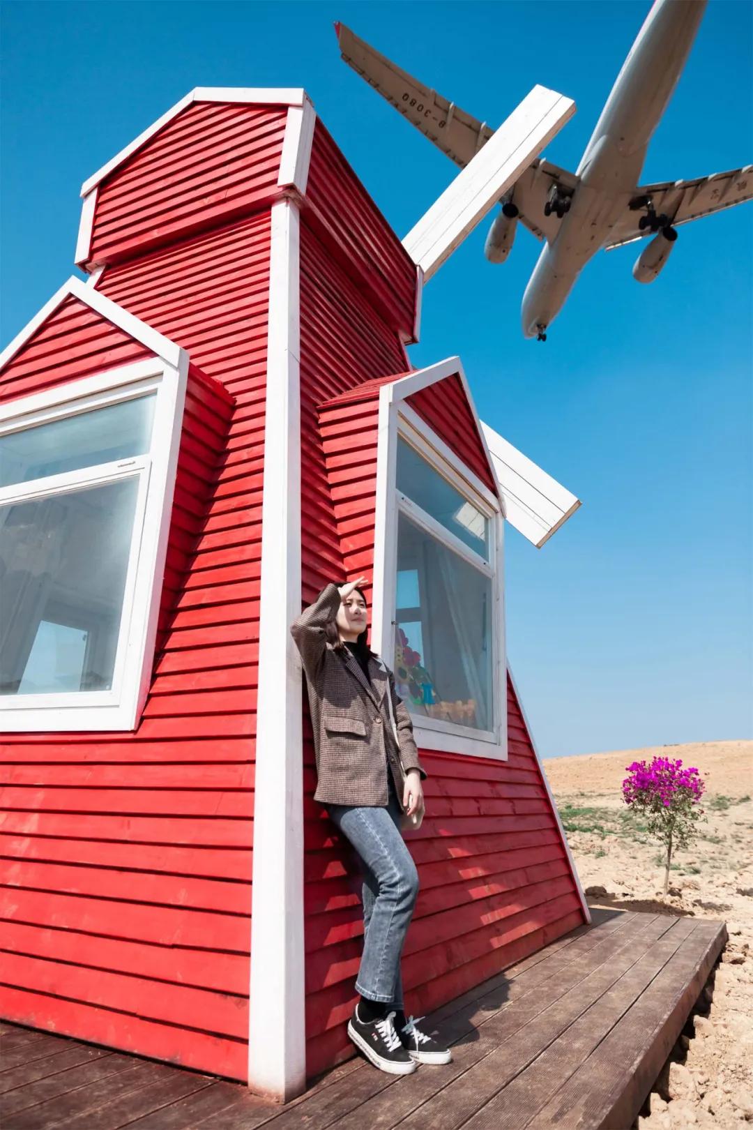 在空港花田里怎么拍照好看,每张都是屏保