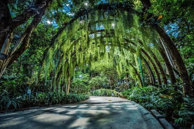 千年邂逅，顾盼流连，守候最美的你