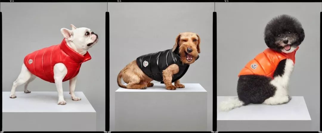 一分钟教你挑羽绒服几百到上万,170如何选择合适羽绒服