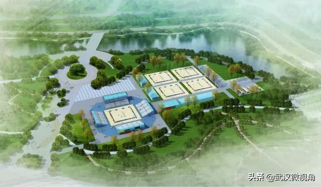 2019武汉军运会军事五项,武汉军运会军事五项视频