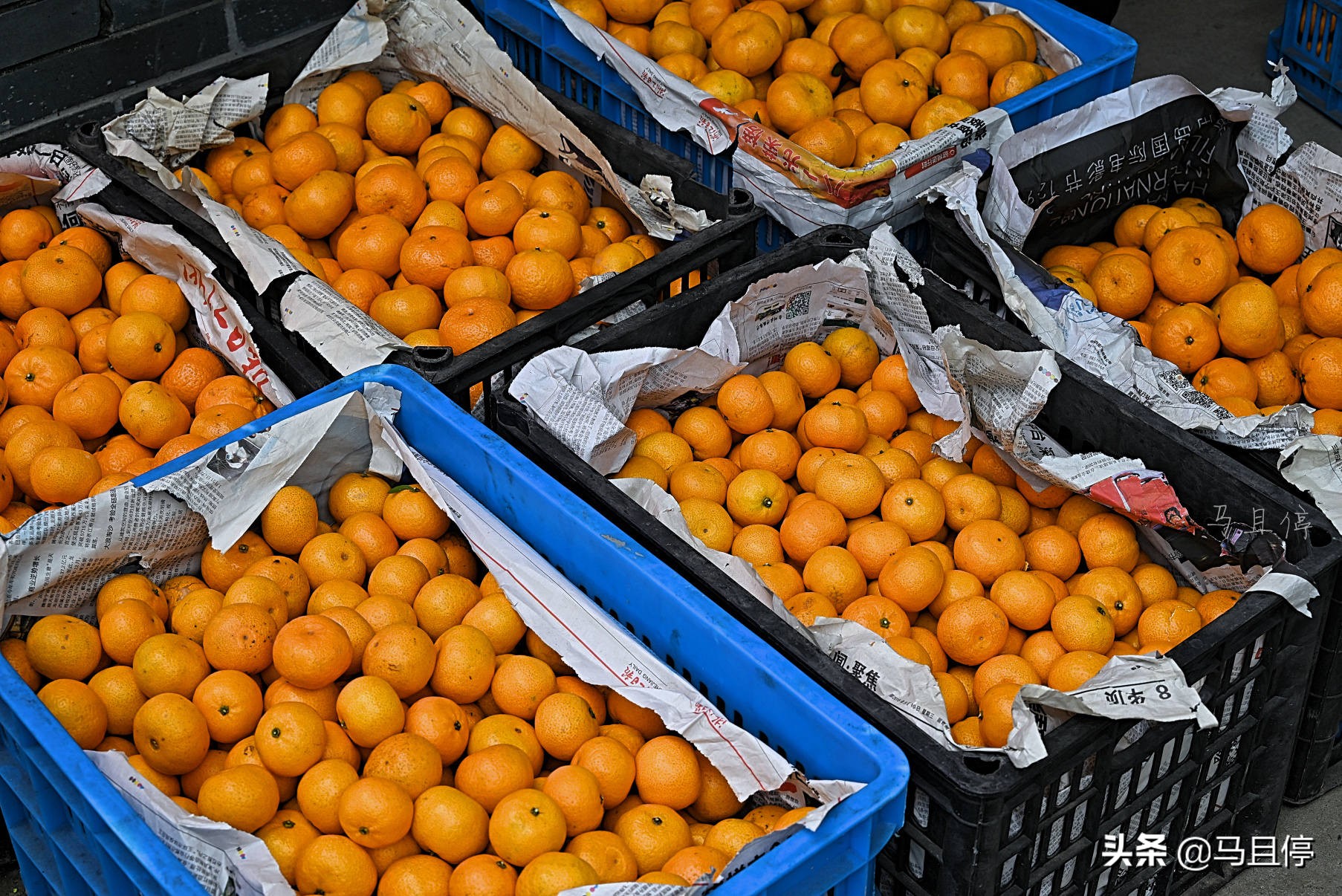 台州黄岩还有崛起的时候吗,黄岩有多强