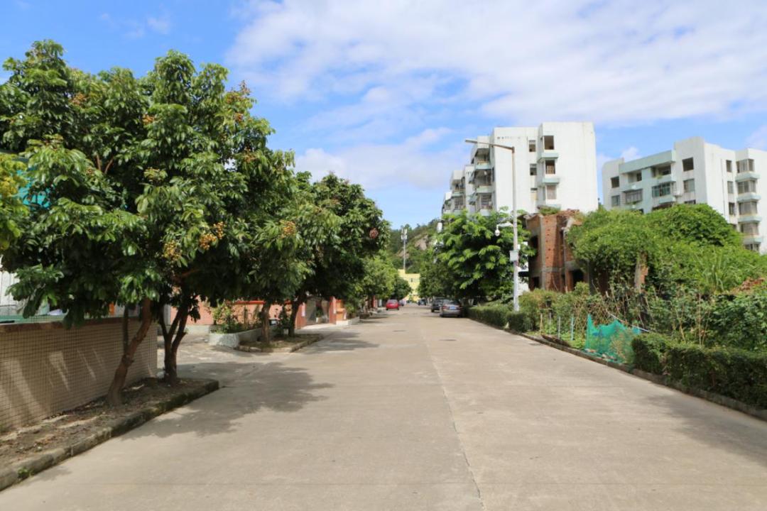 听民声解民意聚民心,人大代表春节前走访慰问困难群众