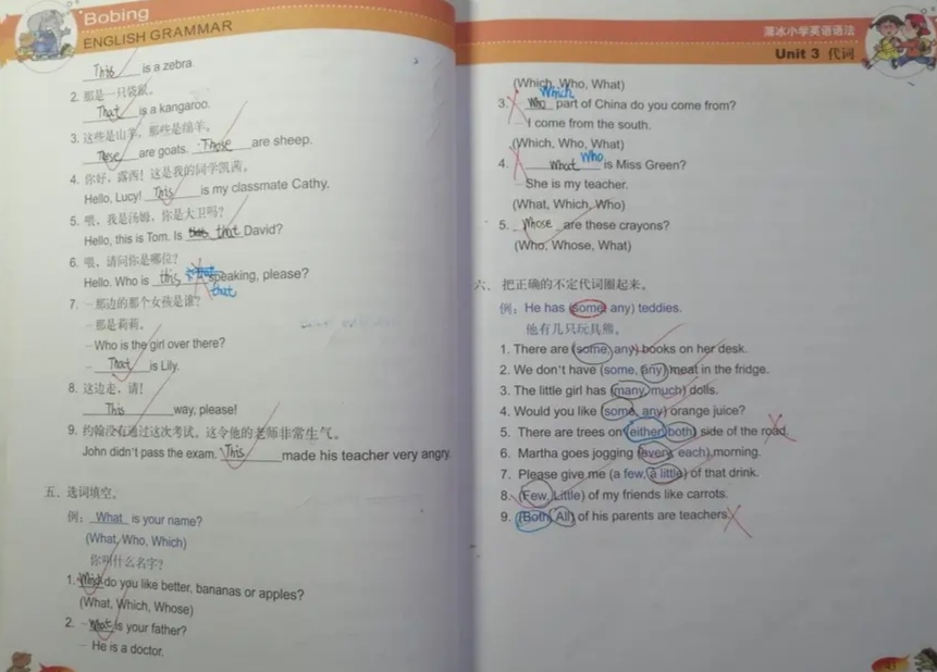 牛妈的英语笔记大全,牛妈图书分享