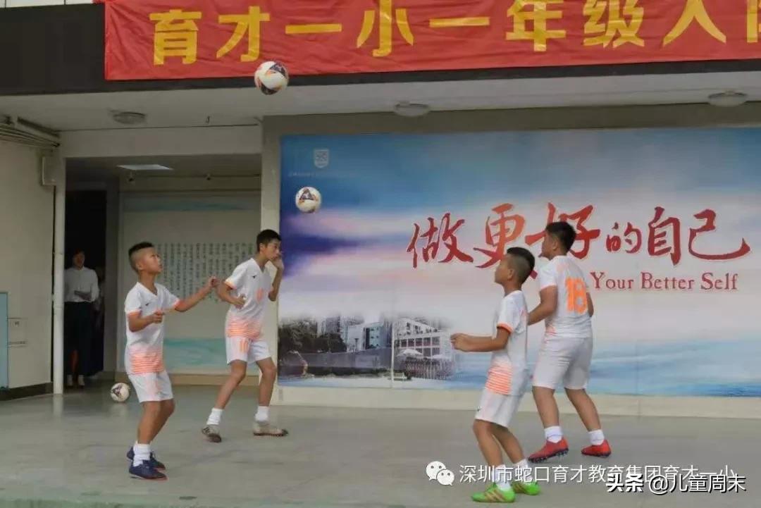 南山蛇口育才一小/二小/三小/四小,哪所更合适你家孩子?