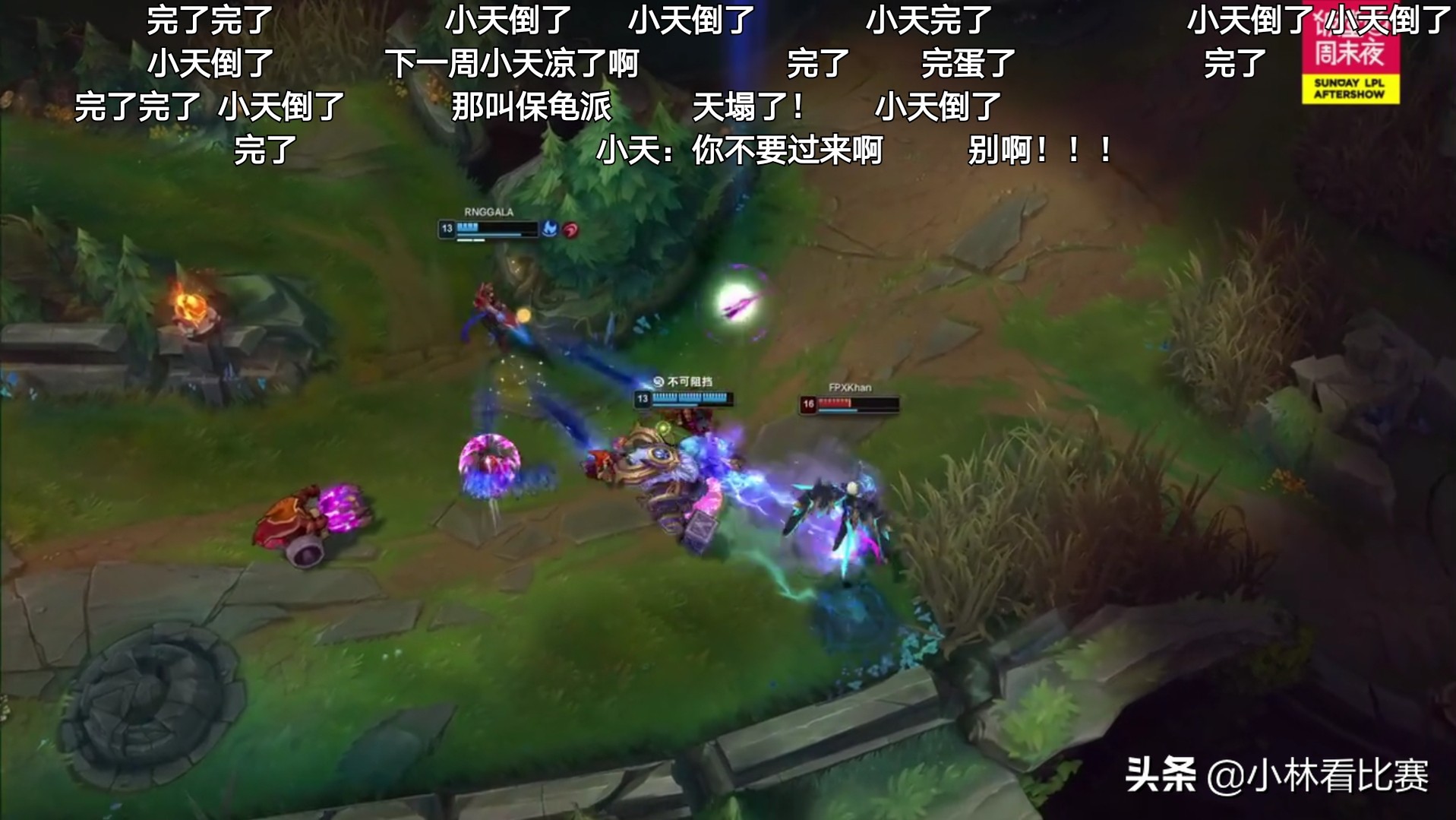 管泽元毒奶edgvsrng,饭堂周末夜管泽元预测blg夺冠