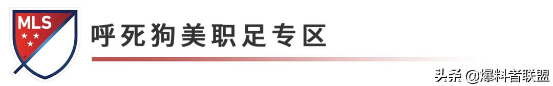 美职足最新预测,美职足最新比赛分析