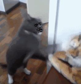 v9s适合用多少瓦的充电器,智能电饭锅900w