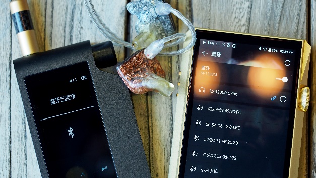 鍘熷瓙铓傝殎2020,hifimanr2r璇勬祴