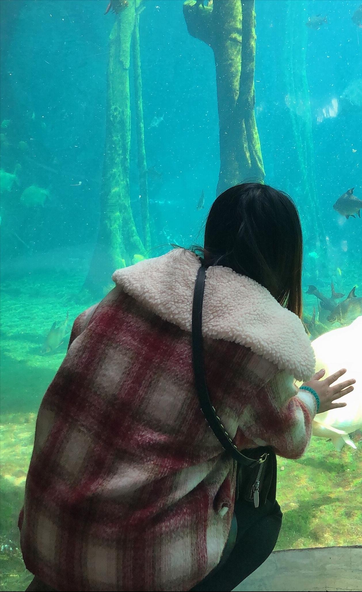 珠海长隆海洋王国一日游必备,珠海长隆海洋王国一日游内容