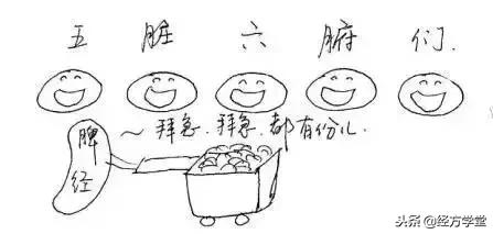 中医12经络挂图,漫画中医经络图典