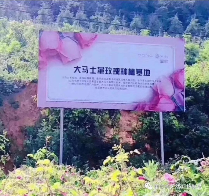 董欣天然最新护肤品,云儿董欣纯天然护肤品