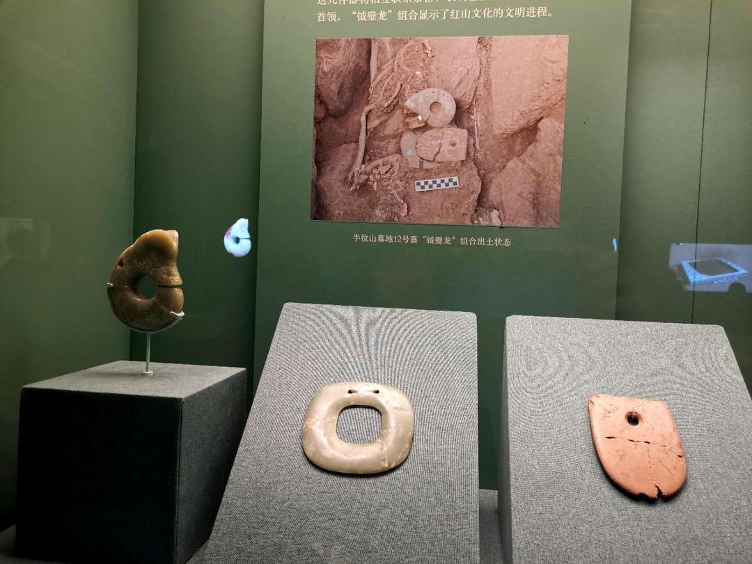 沈阳市新闻12月5日,沈阳新闻15日微博