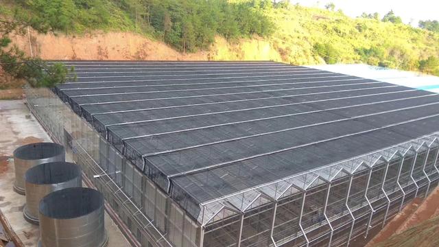 智能玻璃温室大棚一平方要多少钱,草莓连栋玻璃大棚造价多少钱一平