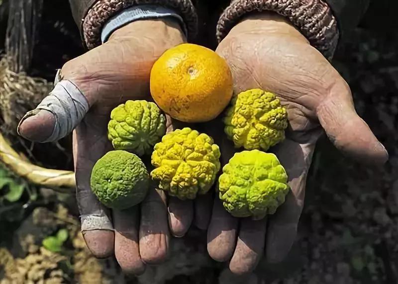 下岗工人出国打工,下岗工人去欧洲打工