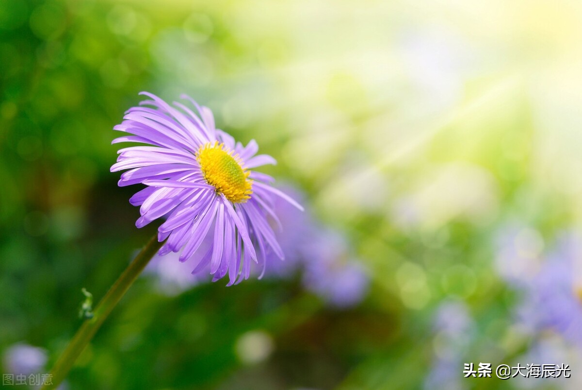 深秋天寒，时光可暖