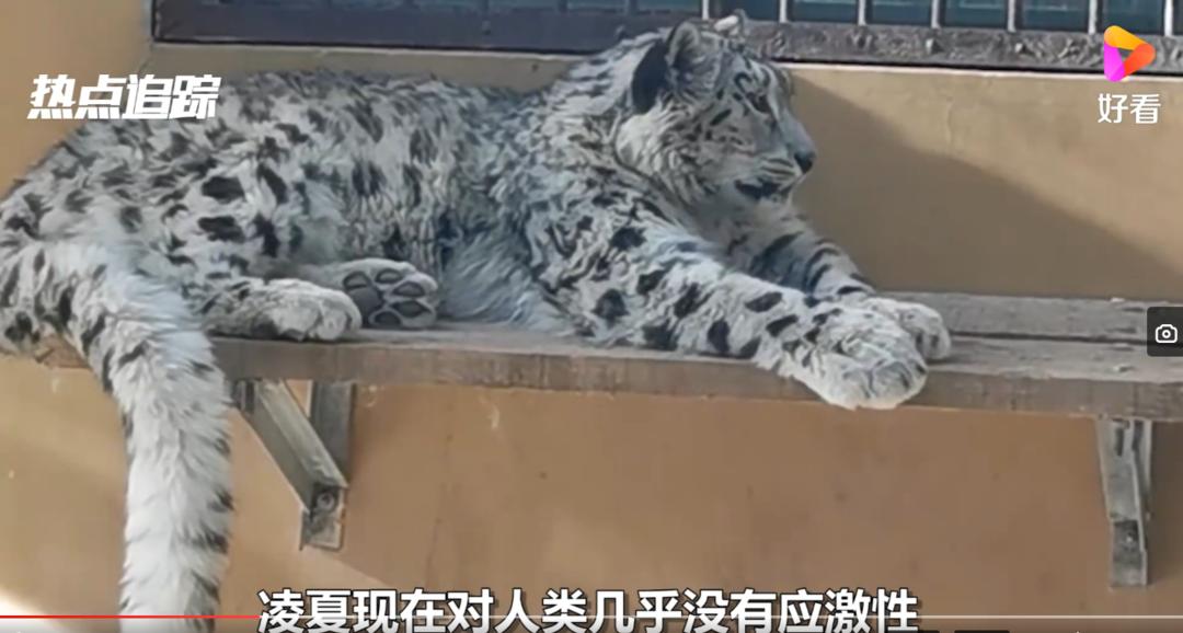 周末在家有什么好玩的亲子游戏,在家也能玩的亲子游戏6-7