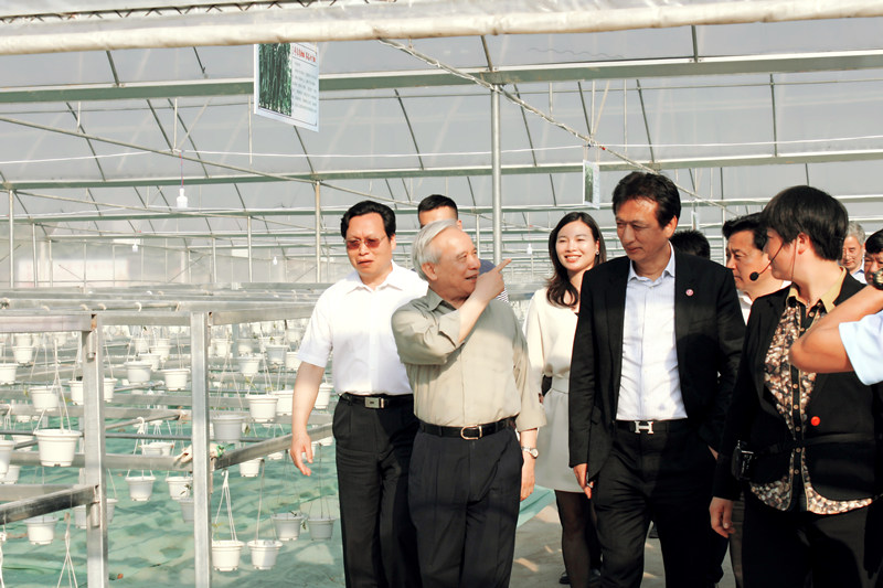 澳门首富何鸿燊现在图片,何鸿燊10元起家成为澳门首富