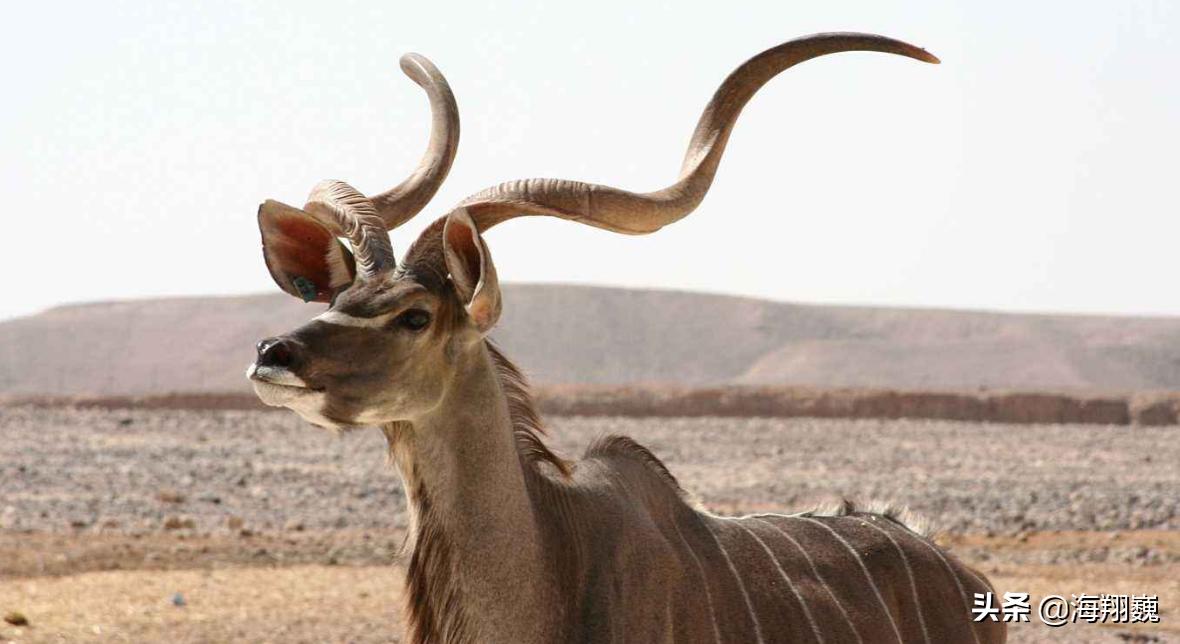 山海经第五卷小说,山海经第五篇