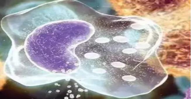 免疫力高才有症状吧,是不是免疫力就会提高很多