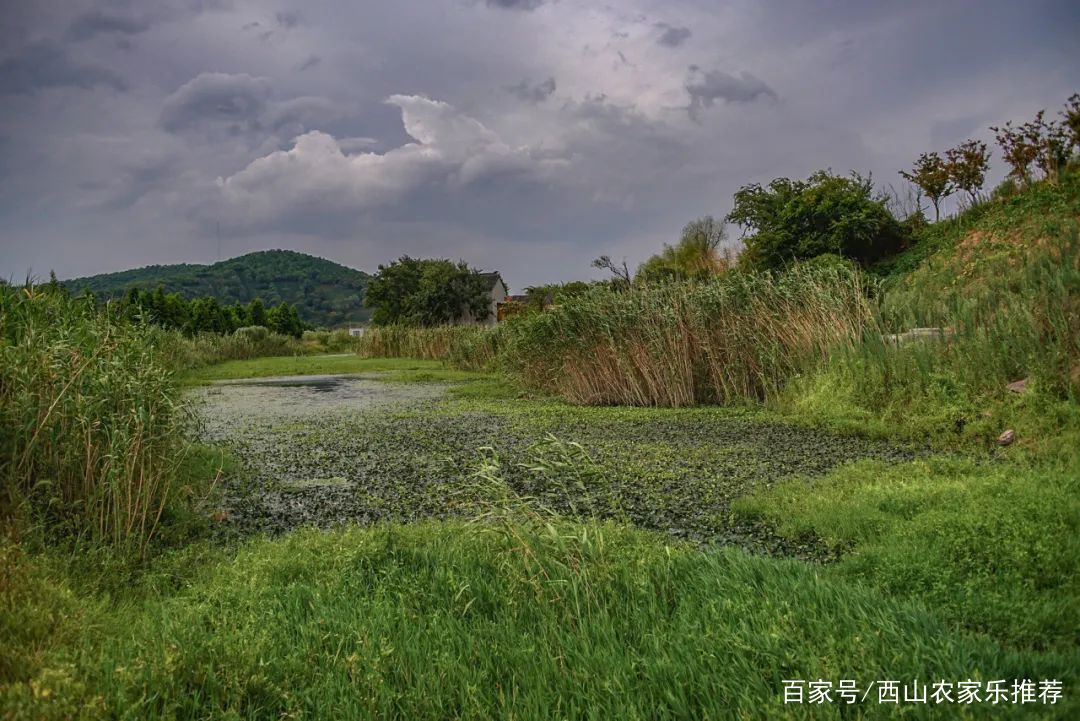 苏州西山景区有哪些景点,苏州西山缥缈峰景区