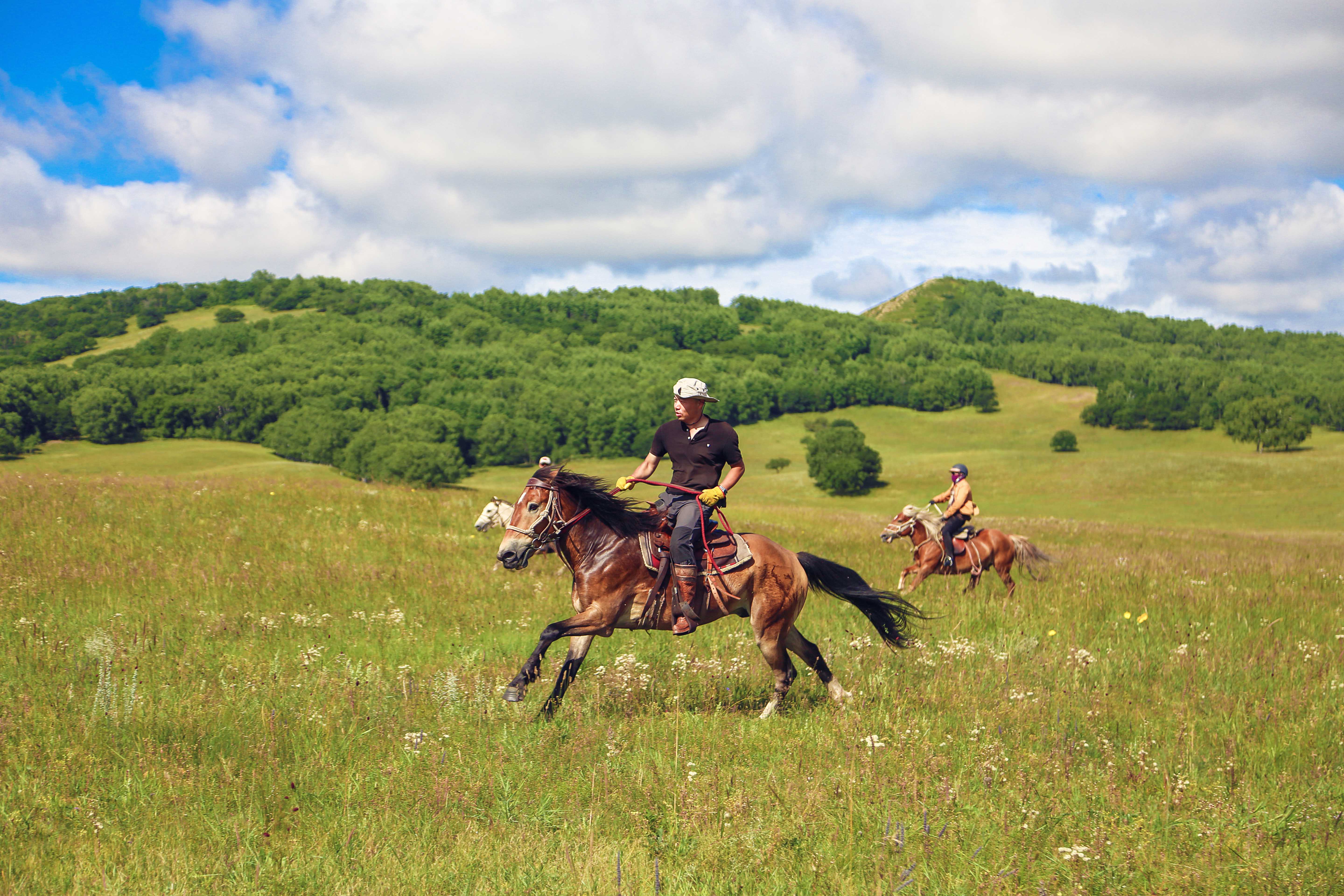马背之旅旅游攻略,马背之旅旅游视频