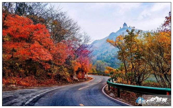 中国山地自行车联赛总决赛成绩,中国大别山自行车超级联赛