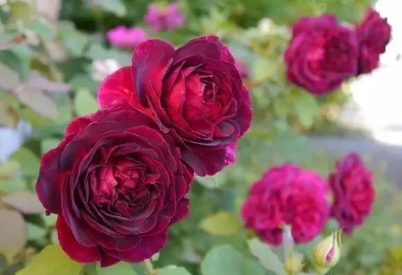 每天学习一点点女性小常识,每天学习一点点科普一下