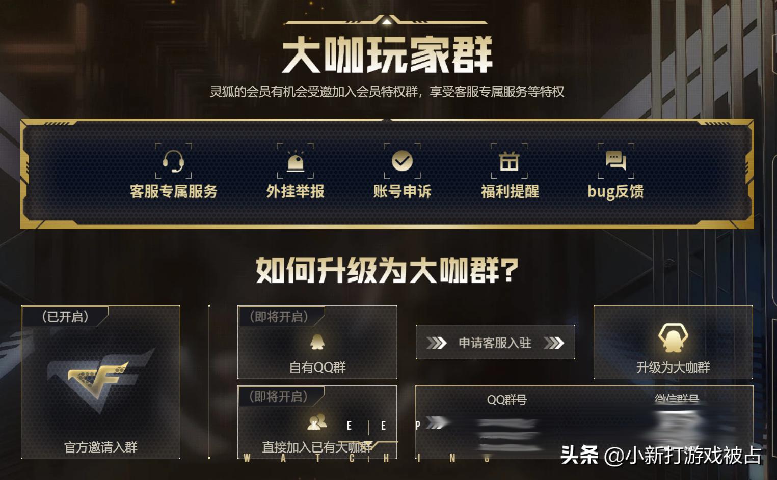 cf二月灵狐的约定怎么兑换会员,2月灵狐的约定cfvip怎么激活