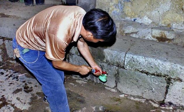 神秘怪虫袭击,神秘怪虫袭击小镇