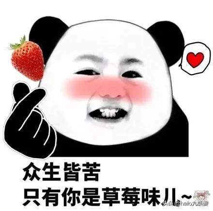 蹇憡璇夎韩杈规湅鍙嬩拱鍖呴兘鏈夊摢浜涘潙,鍚勫ぇ骞冲彴涓轰粈涔堥兘鍦ㄥ崠鍋囪揣