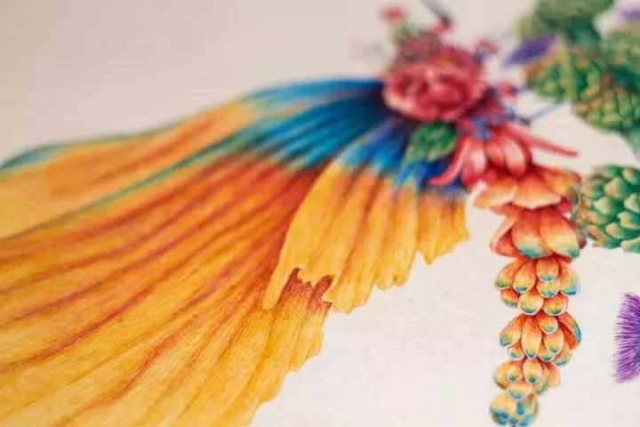 小央美钢笔画视频,极品五大钢笔画简直美爆