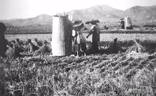 珍贵的深圳照片,40年前深圳老照片