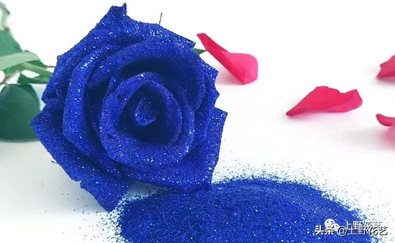 100种玫瑰高清,100种玫瑰花品种