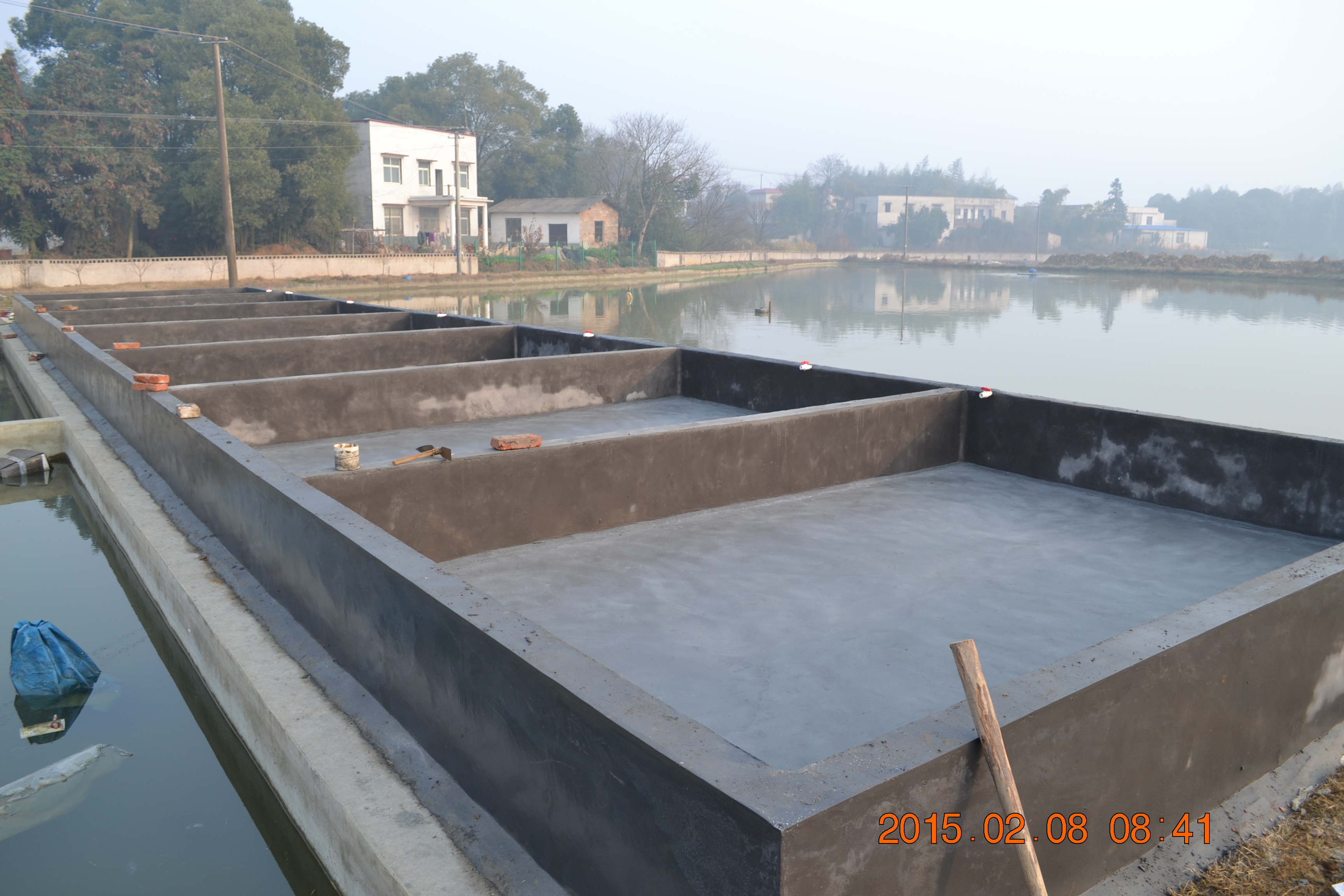 湖南最好的锦鲤养殖基地,湘潭锦鲤养殖