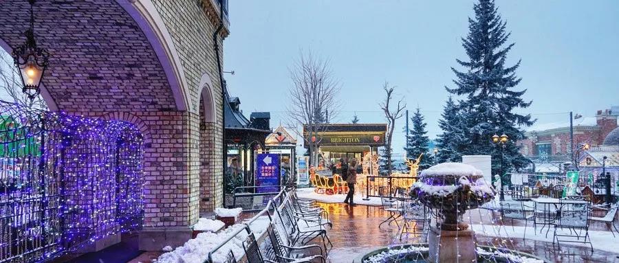 这些句子总有一句会惊艳到你,日语名言名句经典语录