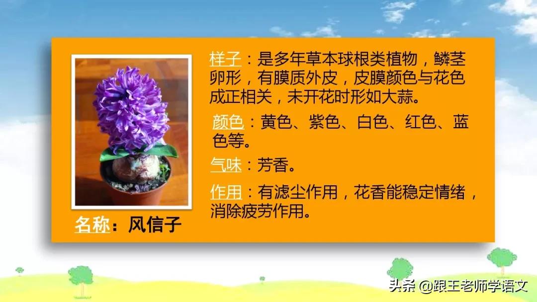 我的植物朋友竹子作文三年级300字,三年级下册我的植物朋友习作评语