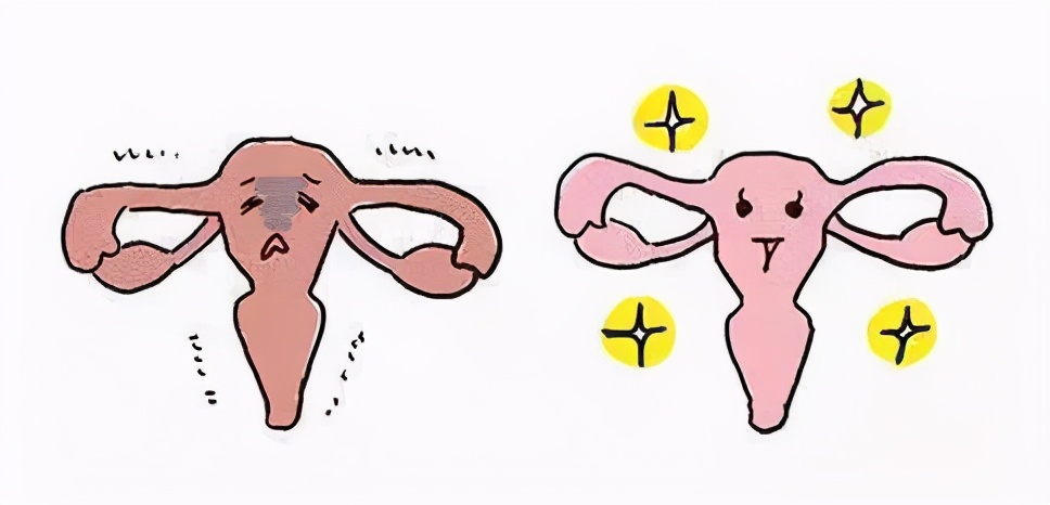 amh值试管成功率,amh值低做试管婴儿成功率高吗