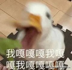 网恋奔现化什么妆,网恋妆火了4招换头奔现不露馅