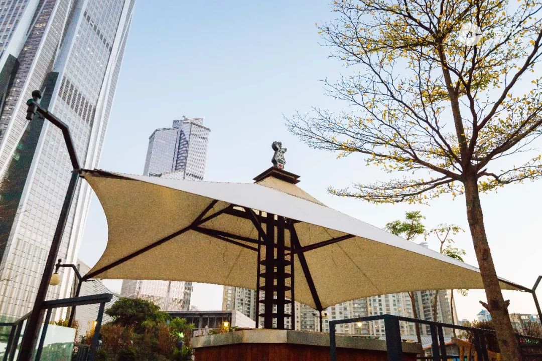 广东人最爱的啫啫煲,广东人最爱的砂锅